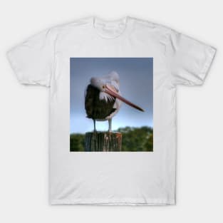 Bashful Pelican T-Shirt